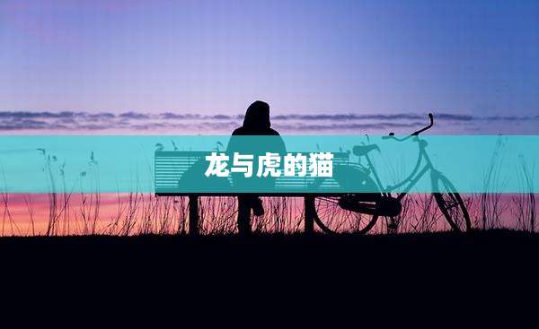 龙与虎的猫