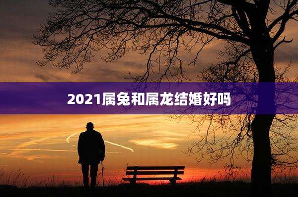 2021属兔和属龙结婚好吗