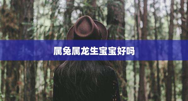 属兔属龙生宝宝好吗