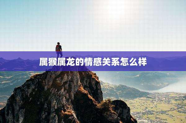 属猴属龙的情感关系怎么样