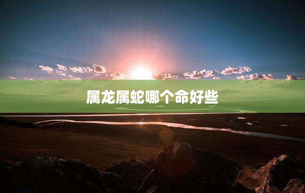 属龙属蛇哪个命好些