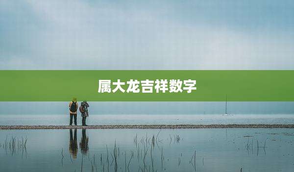 属大龙吉祥数字