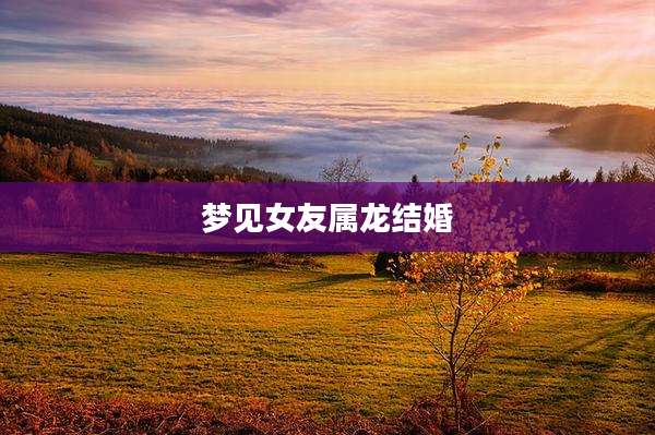 梦见女友属龙结婚