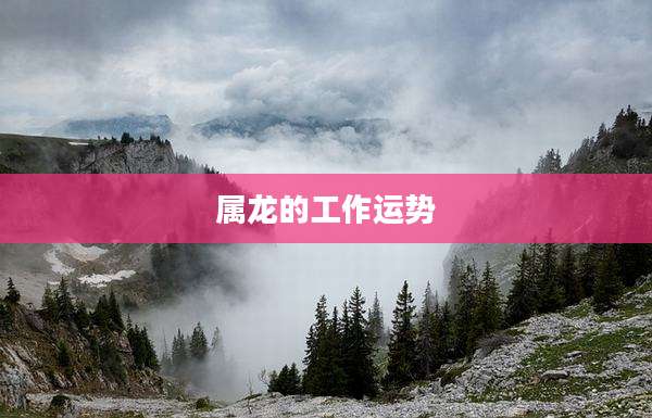 属龙的工作运势