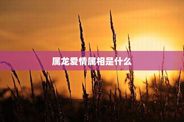 属龙爱情属相是什么