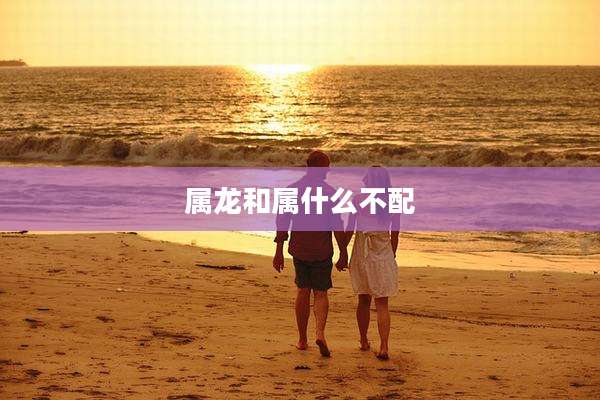 属龙和属什么不配