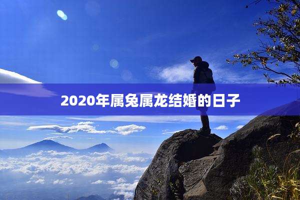 2020年属兔属龙结婚的日子