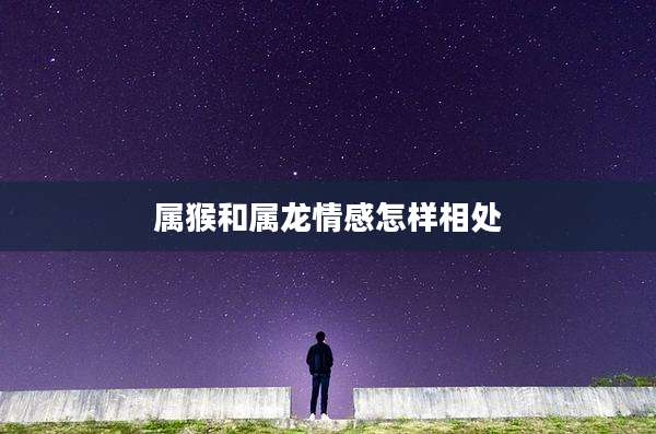 属猴和属龙情感怎样相处