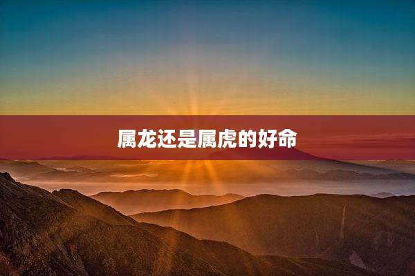 属龙还是属虎的好命