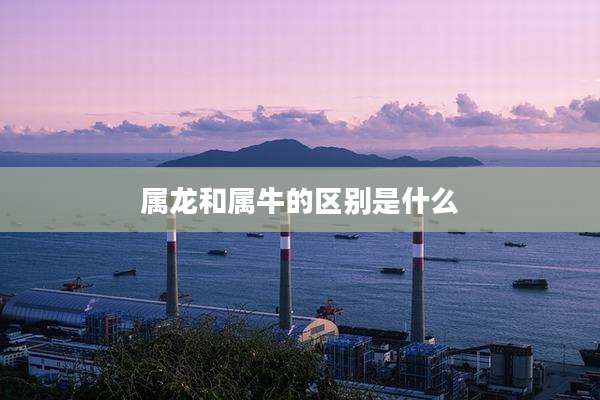 属龙和属牛的区别是什么