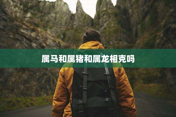 属马和属猪和属龙相克吗