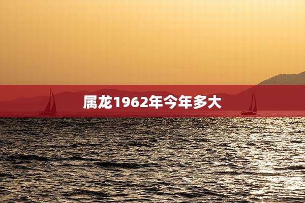 属龙1962年今年多大