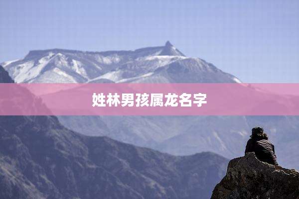 姓林男孩属龙名字