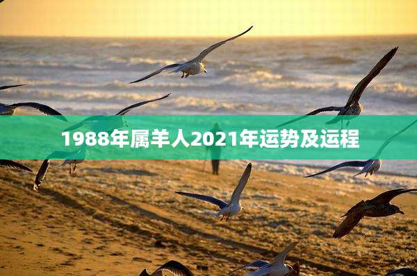 1988年属羊人2021年运势及运程