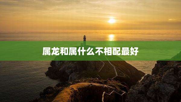 属龙和属什么不相配最好