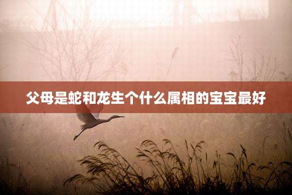 父母是蛇和龙生个什么属相的宝宝最好