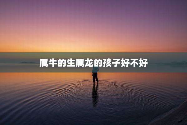 属牛的生属龙的孩子好不好