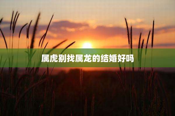 属虎别找属龙的结婚好吗