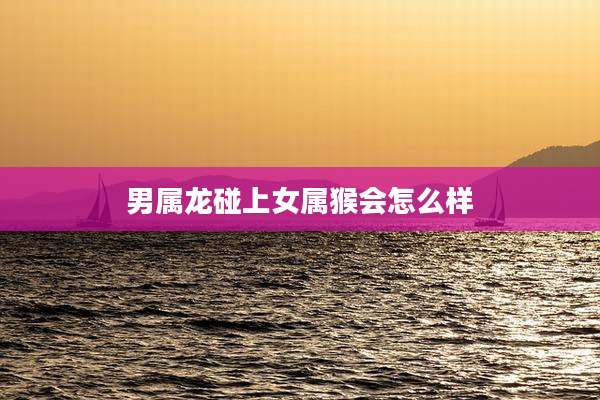 男属龙碰上女属猴会怎么样