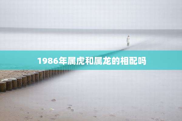 1986年属虎和属龙的相配吗