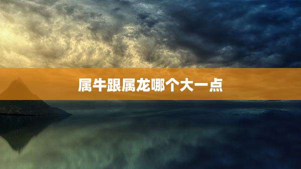 属牛跟属龙哪个大一点