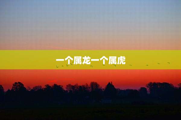 一个属龙一个属虎
