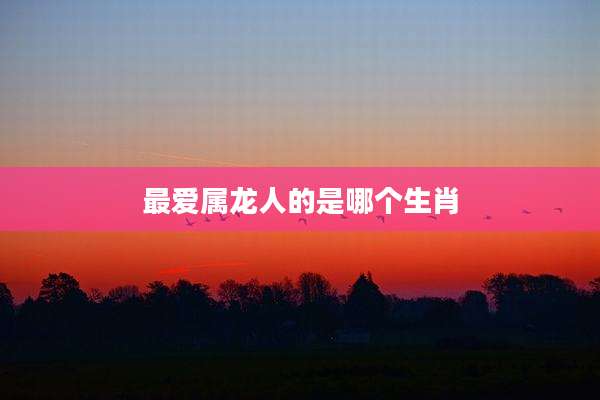 最爱属龙人的是哪个生肖