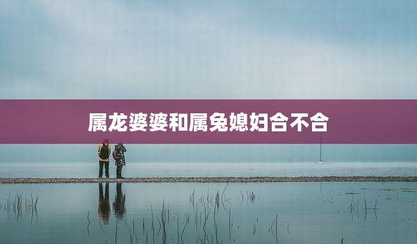 属龙婆婆和属兔媳妇合不合