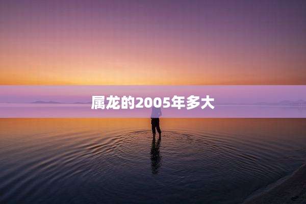 属龙的2005年多大