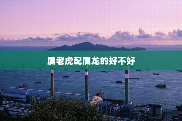 属老虎配属龙的好不好