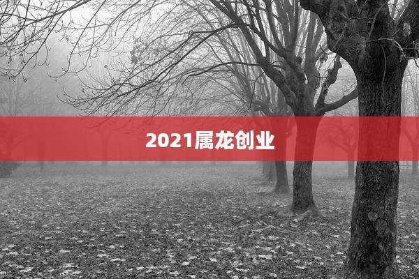 2021属龙创业