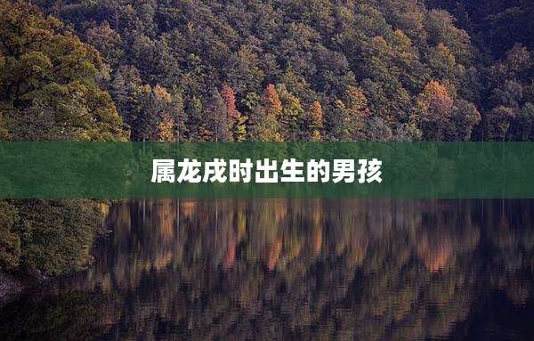 属龙戌时出生的男孩