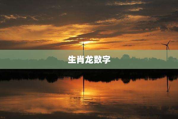 生肖龙数字