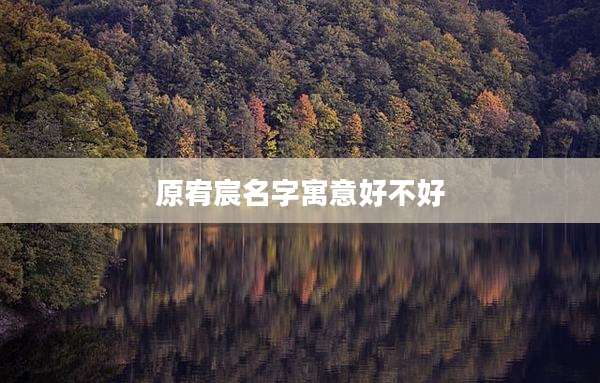 原宥宸名字寓意好不好