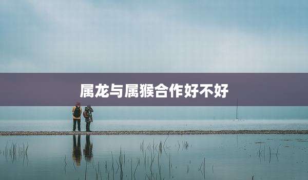 属龙与属猴合作好不好