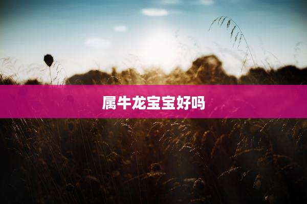 属牛龙宝宝好吗