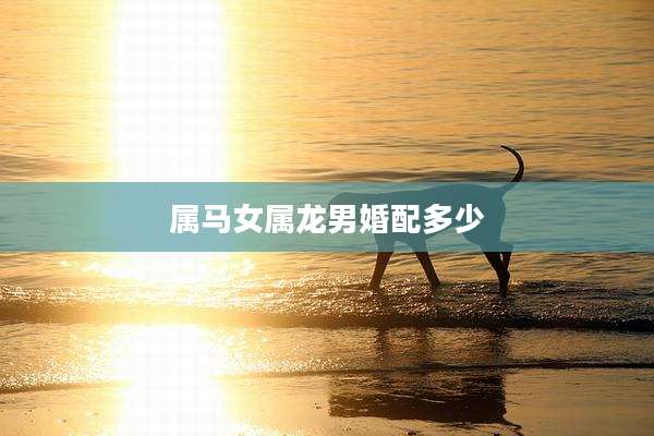 属马女属龙男婚配多少