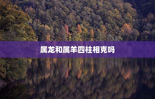 属龙和属羊四柱相克吗