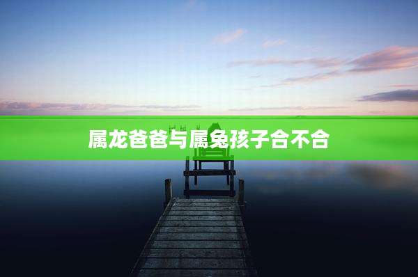 属龙爸爸与属兔孩子合不合