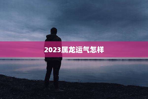 2023属龙运气怎样