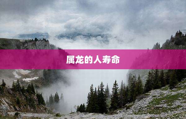 属龙的人寿命
