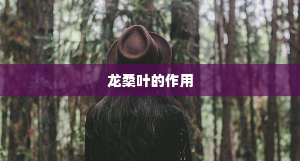 龙桑叶的作用
