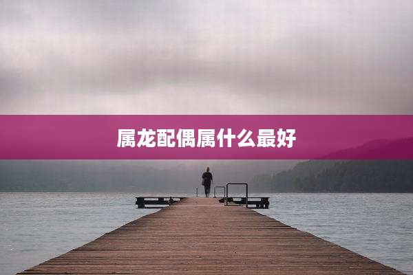 属龙配偶属什么最好