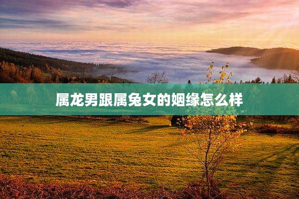 属龙男跟属兔女的姻缘怎么样