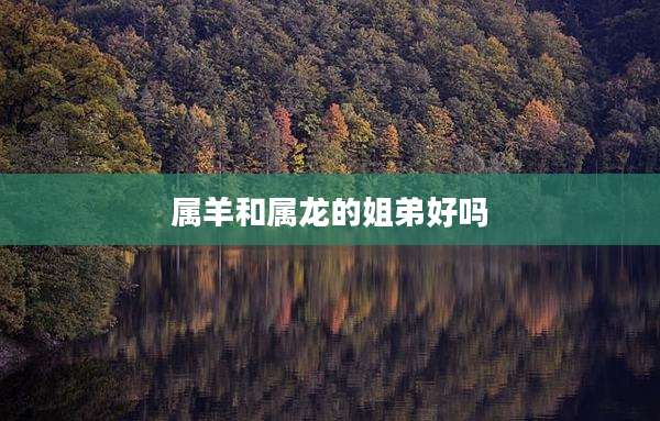 属羊和属龙的姐弟好吗