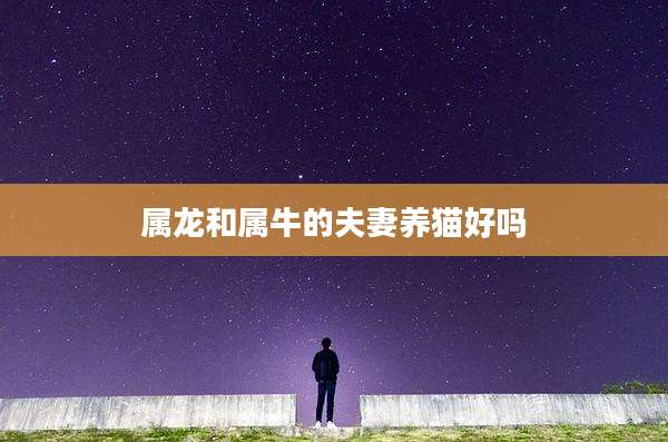 属龙和属牛的夫妻养猫好吗