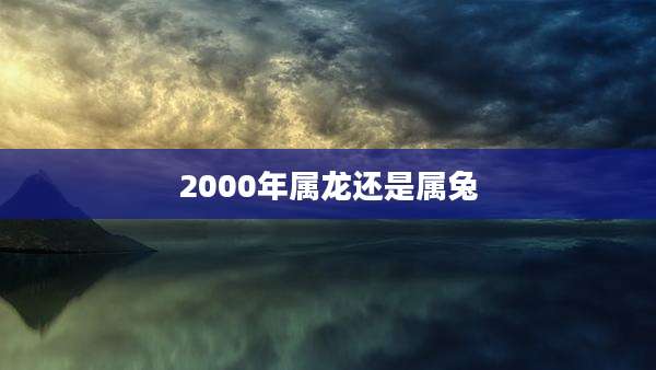 2000年属龙还是属兔
