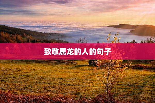 致敬属龙的人的句子