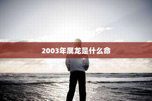 2003年属龙是什么命