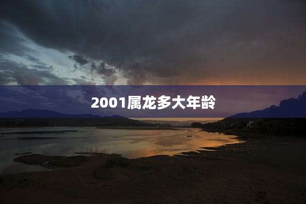 2001属龙多大年龄